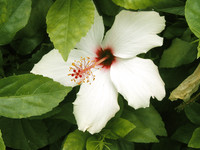 Photo: 18 – Hidden Beauty
