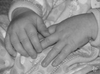 Photo: 14-Baby Hands (Black and White)
