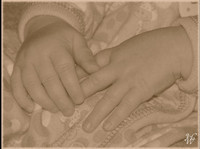 Photo: 13-Baby Hands