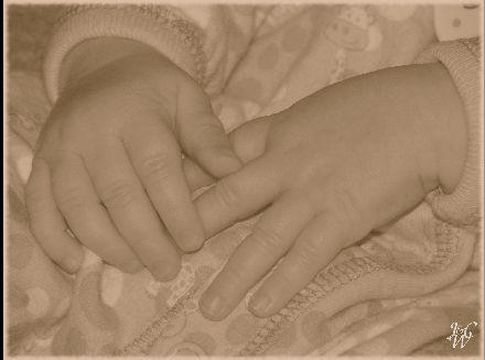 13-Baby Hands