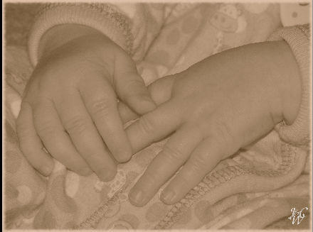13-Baby Hands 13-Baby Hands