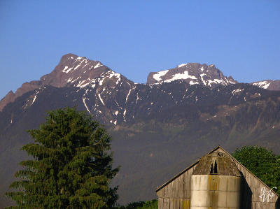 53- Farm view of Mount Cheam