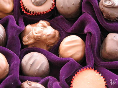 Yum, yum chocolate Yum, yum chocolate