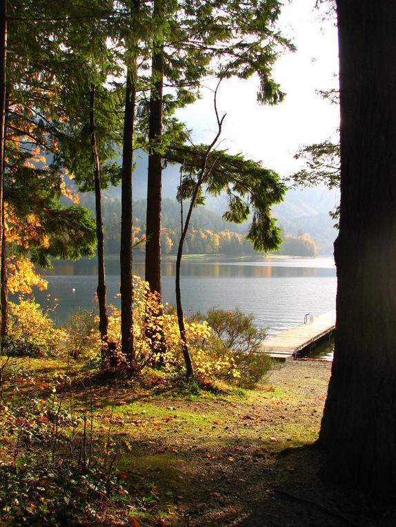 Cultus Colors Cultus Colors