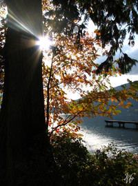 Photo: Fall Time at Cultus