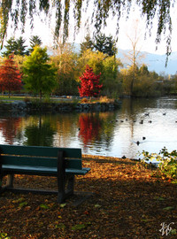 Photo: Fall Day at Sardis Park