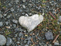 Photo: Heart  amongst the gravel