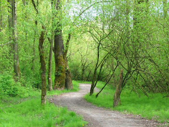 11- Trans-Canada Trail 11- Trans-Canada Trail