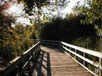 Photo: 6- Mill Lake boardwalk