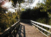 6- Mill Lake boardwalk