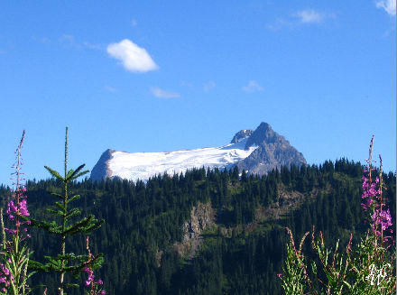 36- Mountain Glacier 36- Mountain Glacier