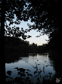 Photo: 43- Fish Trap Creek at dusk