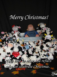 Photo: Take time to relax this Christmas